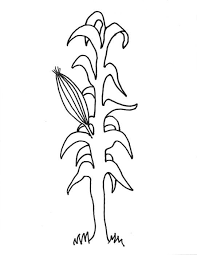 Corn Stalk Coloring Page Clipart Pie Cliparts Vectors Corn Stalks Coloring Pages Giraffe Coloring Pages