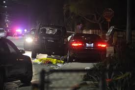 Image result for elliot rodger bmw