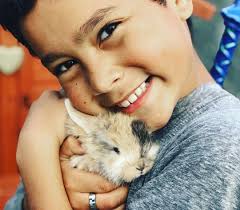 Farm/Petting Zoo Tour