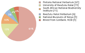 Image result for Aspidoglossum hirundo