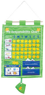 Bright Child My Responsibility Chart