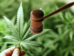 El pleno del senado legalizó el consumo de la mariguana para uso recreativo, lúdico, industrial, científico y eliminó al cáñamo del listado de sustancias sicotrópicas. Juzga Scjn Inconstitucional Prohibicion Al Uso Ludico De La Mariguana En Mexico Gaceta De Tamaulipas