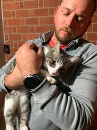 Update: she isnt chipped. Is there anyone that would want to give her a  home if no one comes forward??🥺