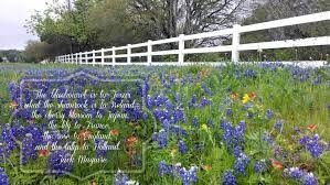 Quote Overlay I Created Using Picmonkey Pinyourlove Picmonkey Texas Bluebonnets Texasbluebonnets Warm Bed Winter Night Cold Winter