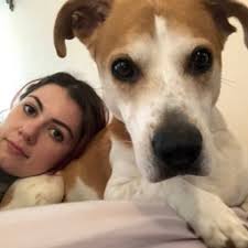 Articles by Filipa Ioannou's Profile