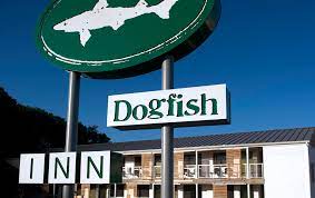 Are You More Quirky Or More Adventurous Find A Stay That S Uniquely You In Delaware Unique Hotels Delaware Beaches Lewes Delaware