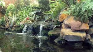 This type is most popular in the paludarium or aqua terrarium tank which mean the water is pumped from the paludarium tank the aquarium part and pour on the rock or wood formation in the land part and then back to the same aquatic part or aquarium part. Two Small Waterfalls Shot In Stock Footage Video 100 Royalty Free 24709952 Shutterstock