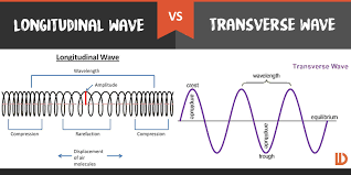 Sound waves are longitudinal in nature. What Is The Difference Between A Longitudinal Wave And A Transverse Wave Socratic