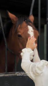 pin by eng rsoom al nzal on my saves in 2021 girly images instagram inspiration posts iphone wallpaper quotes love