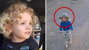 New detail in search for missing Gus Lamont - Yahoo News Australia
