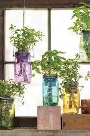Ikuti kaedahnya seperti berikut ia sangat sesuai untuk ditanam ditanah y4ng lembap di kawasan yang agak luas kerana ia begitu cepat membiak. Idea Tanam Herba Cara Kreatif Dapur Jadi Cantik Super Jimat Keluarga