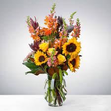 We did not find results for: Summer Splash By Riley Now Back In Stock In St Louis Mo Rileys Florist