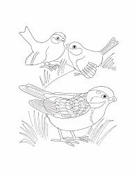 These free, printable halloween coloring pages for kids—plus some online coloring resources—are great for the home and classroom. Coloring Pages Birds Coloring Pages Birds Kids Printables Coloring Library