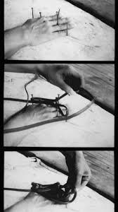 Bildergebnis für Sonia Andrade