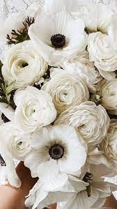Anemone Flower White Anemone Flower Anemone Flower Flowers For Sale