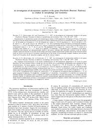 Image result for Urochloa semiundulata