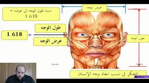 النسبة الذهبية في القرآن و الخلق golden ratio movie posters youtube