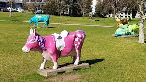 Win news, your local news, weeknights at 5:30pm. Moooving Art Cows At Shepparton Victoria Brown Signs