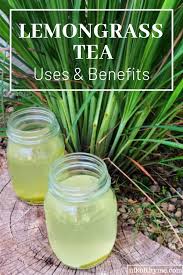 Lemongrass Tea Uses Benefits In 2020 Lemongrass Tea Lemon Grass Tea Benefits Lemon Grass
