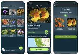 Leafsnap plant and leaf identification app is a quick way to discover new species of trees, leaves, bark, shrub, and others. A Shazam For Nature A New Free App Helps You Identify Plants Animals Other Denizens Of The Natural World Open Culture