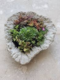 Diy Beton Pflanzschalen Aus Rhabarberblattern Fur Den Garten Pflanzen Pflanzschale Und Garten