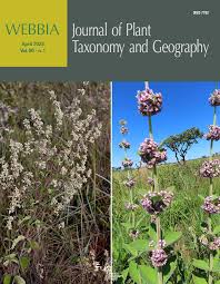 Image result for Vepris rogersii