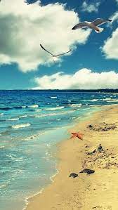 Pin By Nicole On Amazing World Iphone Wallpaper Ocean Live Wallpaper Iphone Beach Wallpaper