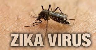 Bahaya gigitan anjing rabies dan penangannya. Keluarga Kerjaya Virus Zika Tanda Dan Gejala Serta Langkah Pencegahan Rahsia Suri