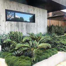 Modern Garden Tropical Garden Design Front Garden Design Tropical Garden