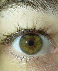 Goz Resimleri Eye Album Panosundaki Pin