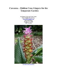 We did not find results for: Curcuma Hidden Cone Gingers For The Temperate Garden Ginger Turmeric