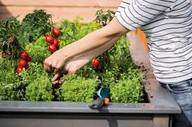 Wenn es draußen kälter wird, kann man endlich das herbstgemüse pflanzen. Hochbeet Ganzjahrig Bepflanzen Ideen Und Tipps Obi