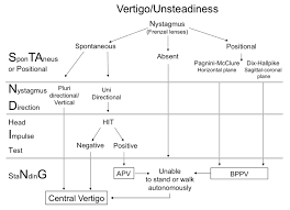 Image result for HiNTs Exam