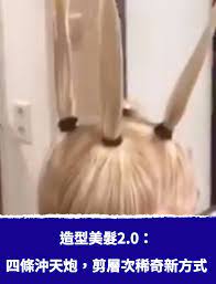 造型美髮2 0 四條沖天炮 剪層次稀奇新方式 新式剪髮 剪頭髮 沖天炮 層次 稀奇 新招式 造型美髮 勁爆 有趣 layers