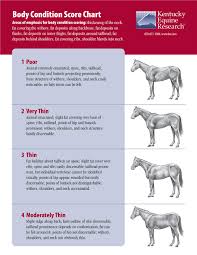 ker body condition score chart