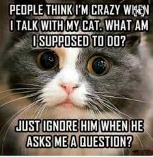 The only mention of this animal is in baruch 6:22. Cat Language Bible Review Does It Actually Work Find Out Now