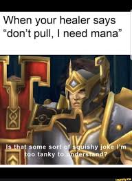 When Your Healer Says Don T Pull I Need Mana Warcraft Funny Memes Wow Meme