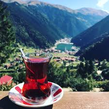 Turkey Trabzon Ouzengol تركيا طربزون اوزنغول Plane Photography Dream Vacations Photo Quotes