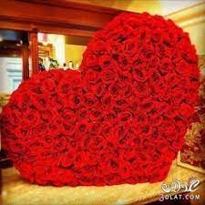 صور ورد متحرك أحمر وقلوب روعة، الورد الأحمر هو دليل على الحب الراقي، والورد له سحر خاص وجاذبيه، إذا أردت أن تسعد حبيبتك خذ لها وردة حمراء، هي طريقة ساحرة للتعبير عن مشاعر الحب ولها تأثير قوي عند المصالحة في مواقف الحزن، أشهر هدايا لعيد الحب valentines day هي باقة من الزهور. Ø§Ø¬Ù…Ù„ ØµÙˆØ± ÙˆØ±Ø¯ 2022 Ø®Ù„ÙÙŠØ§Øª ÙˆØ±Ø¯ Ø·Ø¨ÙŠØ¹ÙŠ ÙˆØ±ÙˆØ¯ Ø±ÙˆÙ…Ø§Ù†Ø³ÙŠØ© ÙŠÙ„Ø§ ØµÙˆØ±