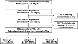 The bethesda system for reporting thyroid cytopathology is effective for clinical management of thyroid nodules clin thytoidol. Association Between Bethesda Categories And Ultrasound Features Of Conventional Papillary Thyroid Carcinoma Ultrasound In Medicine And Biology