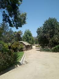 Zoologico De Quilpue Inicio Facebook