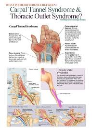 Pin On Health And Wellness
