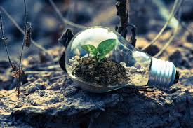 Does cryptocurrency have a future? Does Cryptocurrency Have A Green Future