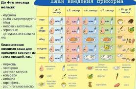 как приготовить пюре из кабачка для ребенка 6 месяцев Pin Na Doske Baby
