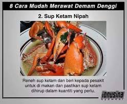 Sebab anak syurga hannah zulaikha positif denggi. Sarawak Aritok Petua Merawat Demam Denggi Secara Facebook