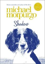 Shadow Pdf Uk Education Collection