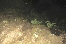 We did not find results for: What Likely Happened To Kris Kremers And Lisanne Froon After Getting Lost In The Panamanian Jungle Quora