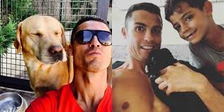 Sur instagram, memphis depay s'affiche de plus en plus avec un lion comme animal de compagnie. Footballers And Their Furry Four Legged Friends