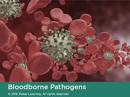 Take our free online bloodborne pathogens certification class, recertification/renewal training course today. Bloodborne Pathogens Relias Academy