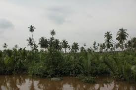 Pin Di Seribu Parit